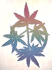 marijuana leaves vintage t-shirt iron-on
