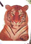 tiger vintage t-shirt iron-on