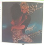 rod stewart vintage 1970's t-shirt iron-on
