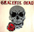 grateful dead skull vintage 1970's t-shirt iron-on