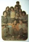 welcome back kotter the sweathogs vintage t-shirt iron-on 1970's