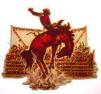 rodeo cowboy western vintage t-shirt iron-on unused