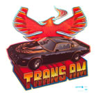 trans-am car vintage 1970's t-shirt iron-on