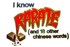 i know karate... yeah right! vintage t-shirt iron-on