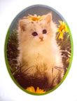 cute kitten cat vintage t-shirt vintage iron-on transfer
