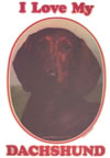 i love my dachshund vintage t-shirt iron-on