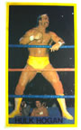 hulk hogan vintage t-shirt iron-on heat transfer