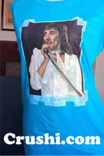 rod stewart in concert vintage t-shirt iron-on vintage t-shirts iron-ons