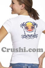 palm trees sunset vintage t-shirt iron-on vintage t-shirts iron-ons