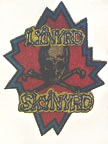 lynyrd skynyrd vintage 1970's t-shirt iron-on
