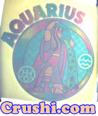 aquarius t-Shirt Iron-On Horoscope Vintage Unused Deadstock Glitter 1970's