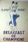 breakfast of champions Unused Original Vintage T-Shirt Iron-On Heat Transfer
