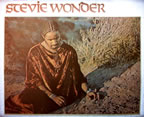 stevie wonder talking book vintage 1970's t-shirt iron-on