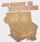 my chest is priceless vintage t-shirt iron-on 1970's